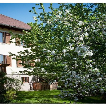 Apartments Himmelreich Ternitz Eksteriør bilde