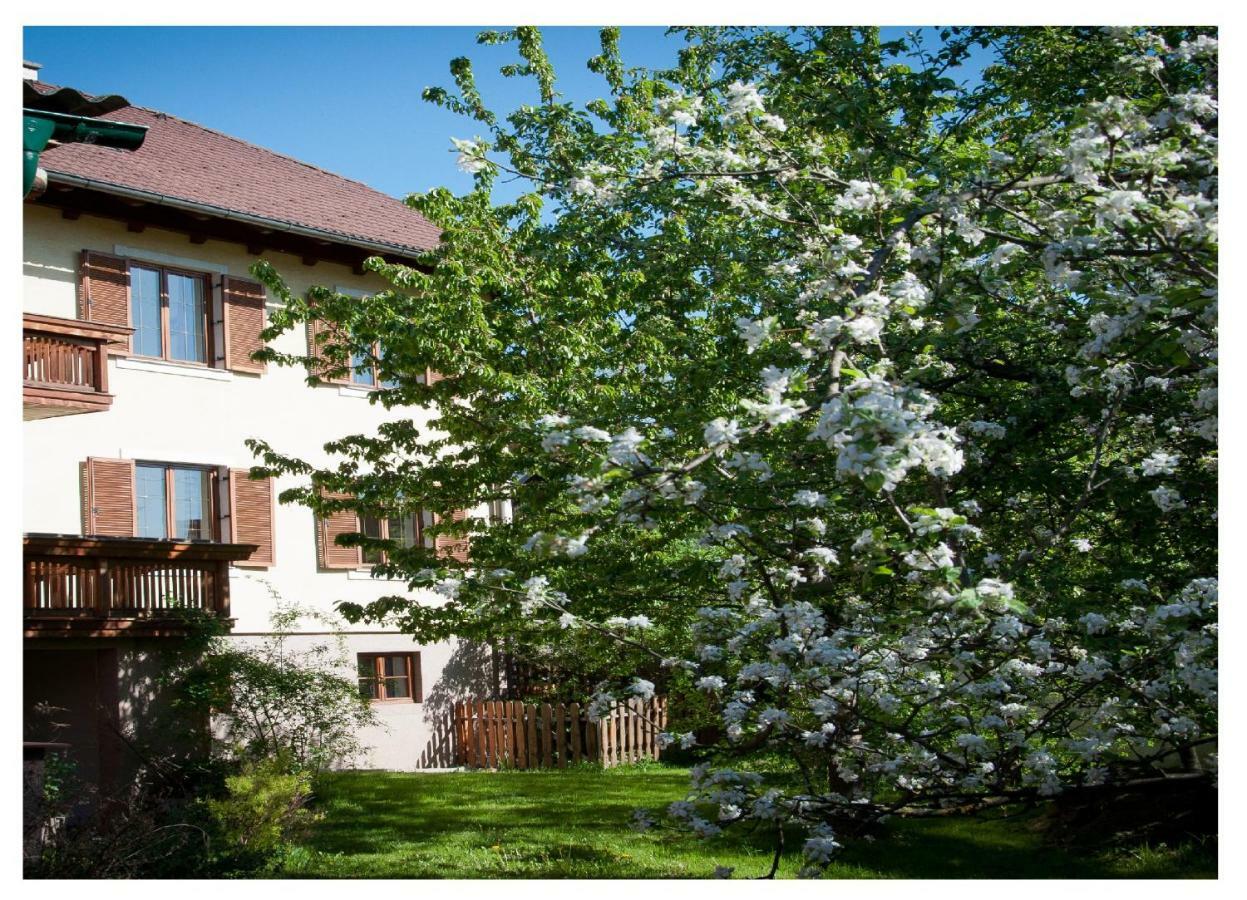 Apartments Himmelreich Ternitz Eksteriør bilde